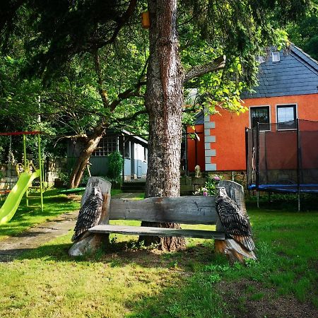 Ferienhaus Franz - An Der Elbe, Mit Grossem Garten Vila Pirna Exterior foto