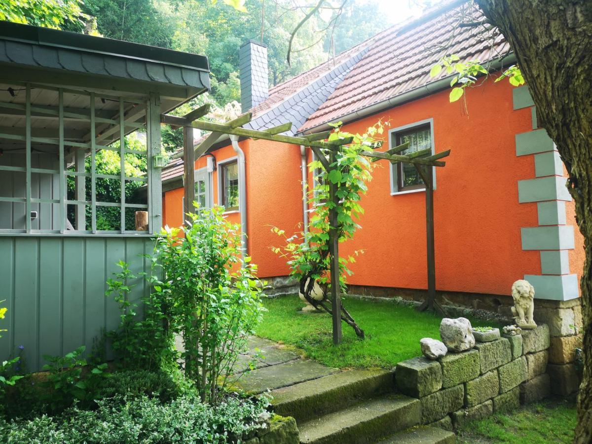 Ferienhaus Franz - An Der Elbe, Mit Grossem Garten Vila Pirna Exterior foto