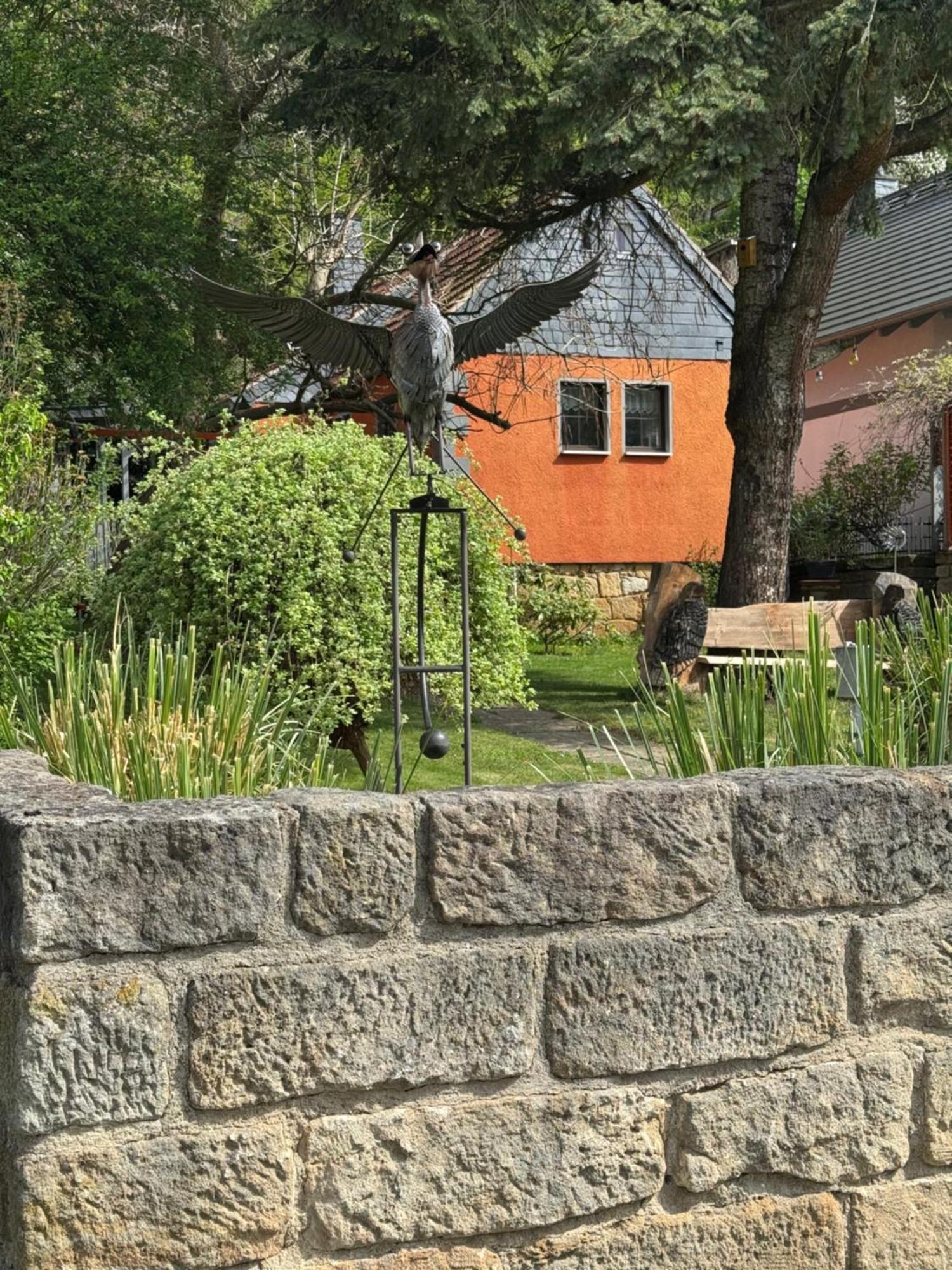 Ferienhaus Franz - An Der Elbe, Mit Grossem Garten Pirna Exterior foto